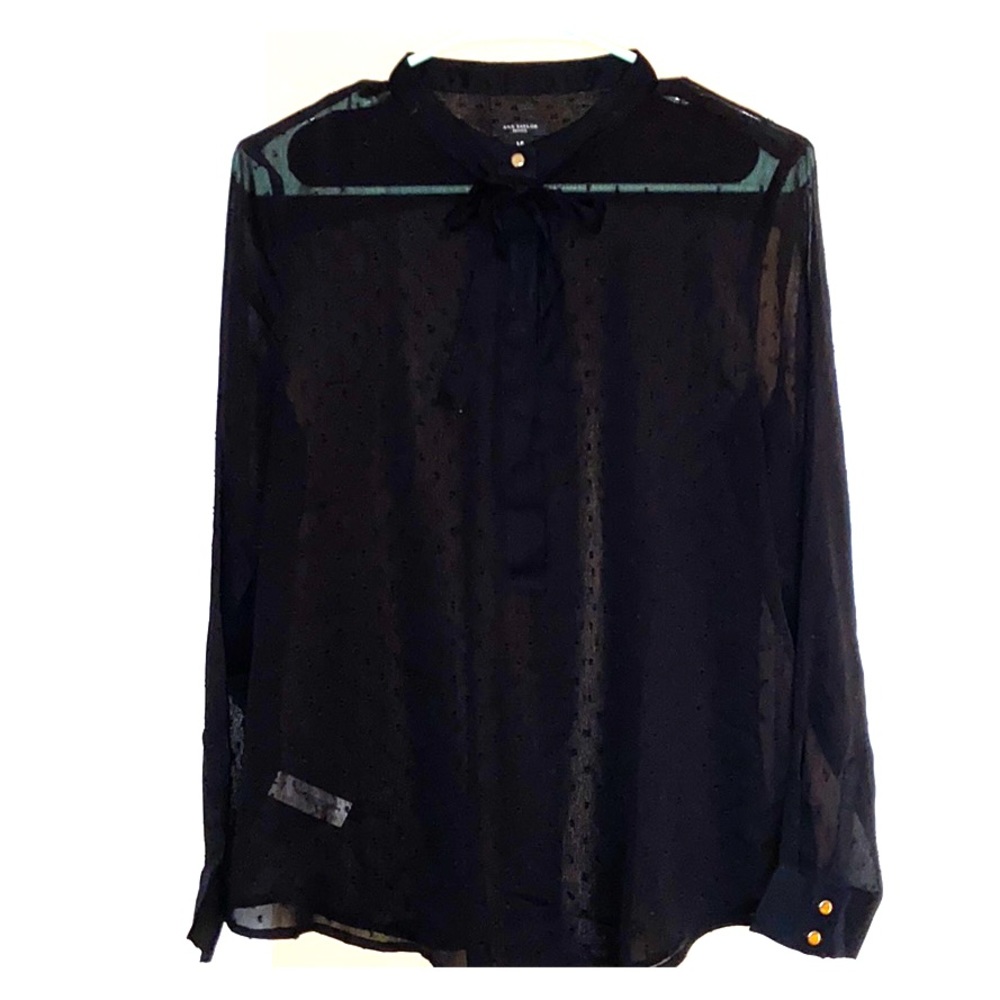 ANN TAYLOR PETITE- sheer Swiss dot blouse